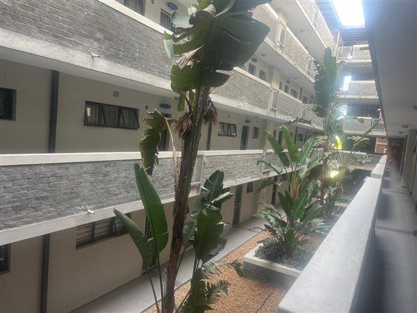 2 Bedroom Property for Sale in Brooklyn Western Cape